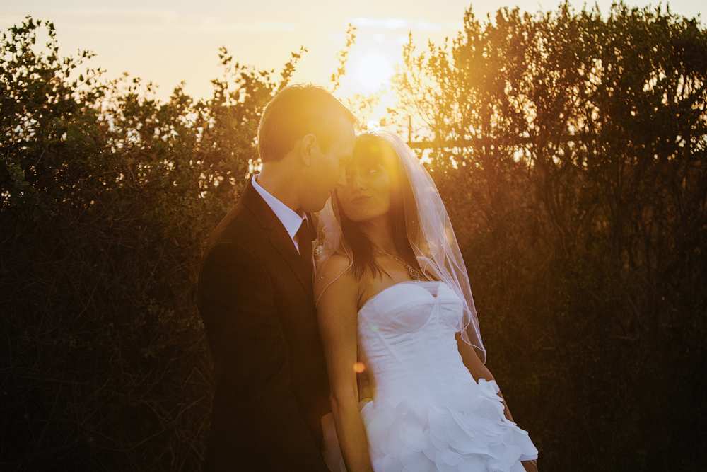 This is a nice glowy Southern California light photo.