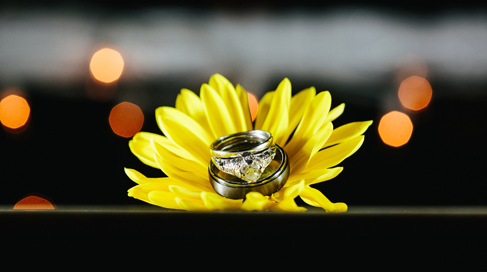 This is a photo of rings on a flower.