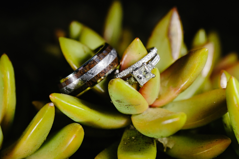 These are rings that were shot on succulents.