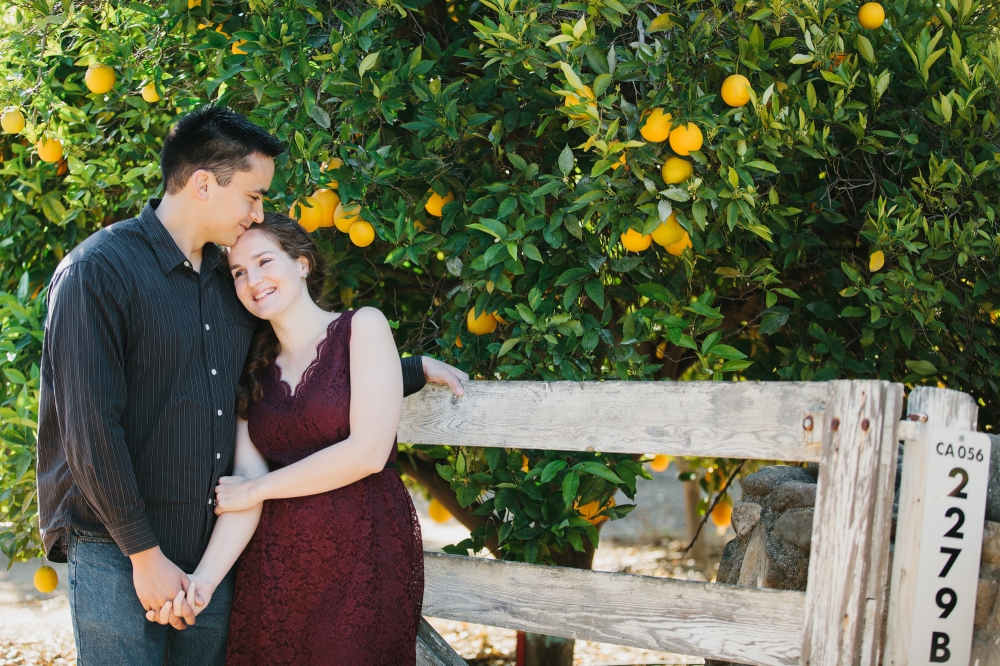 Ojai orchard Engagement