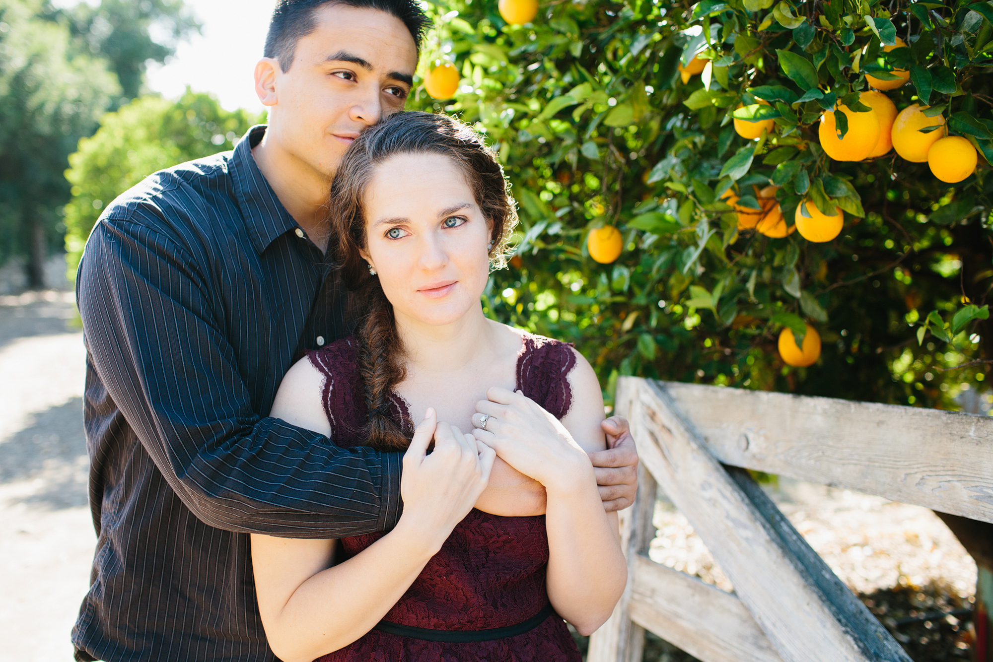 Ojai orchard Engagement