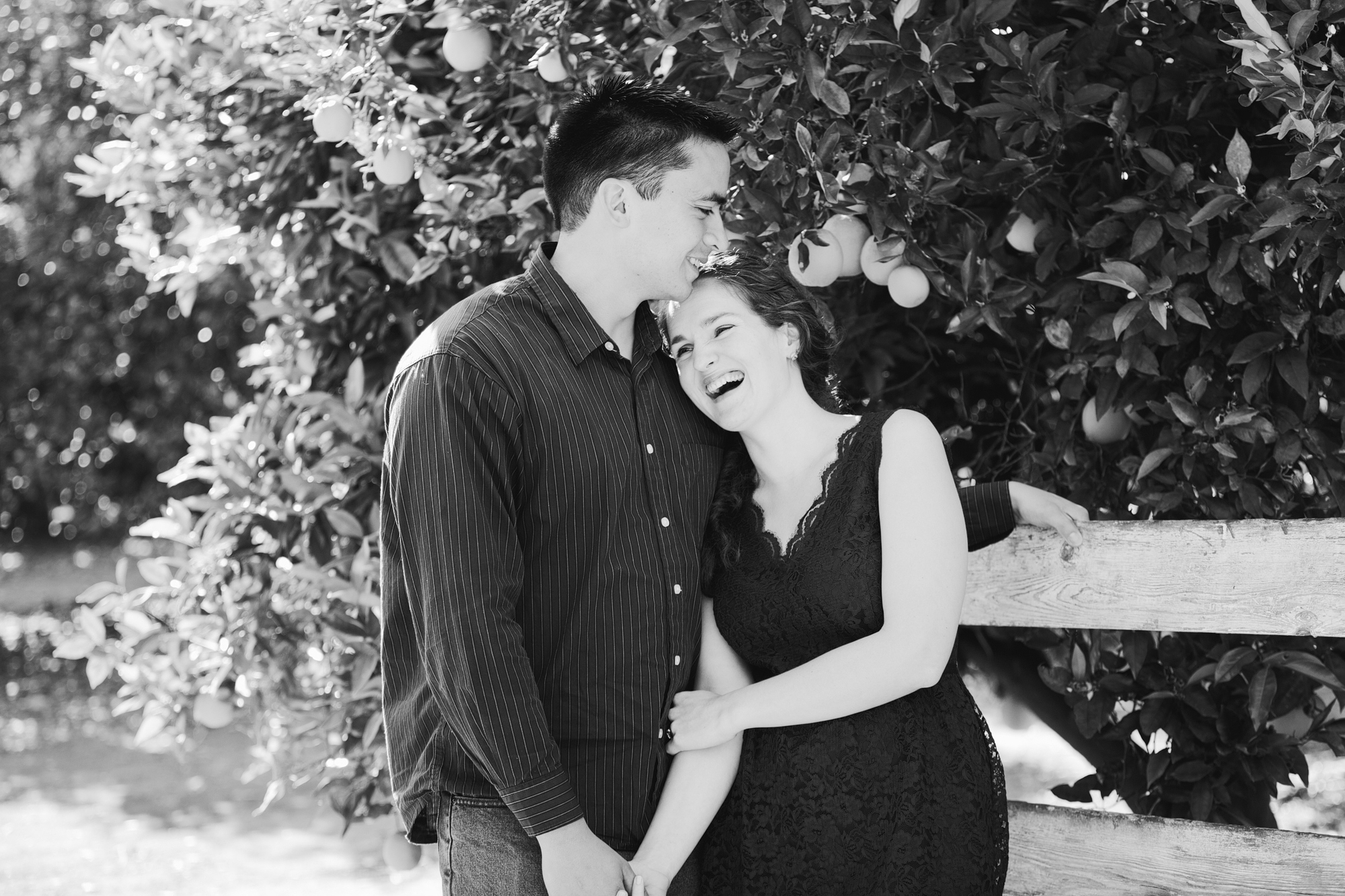 Ojai orchard Engagement