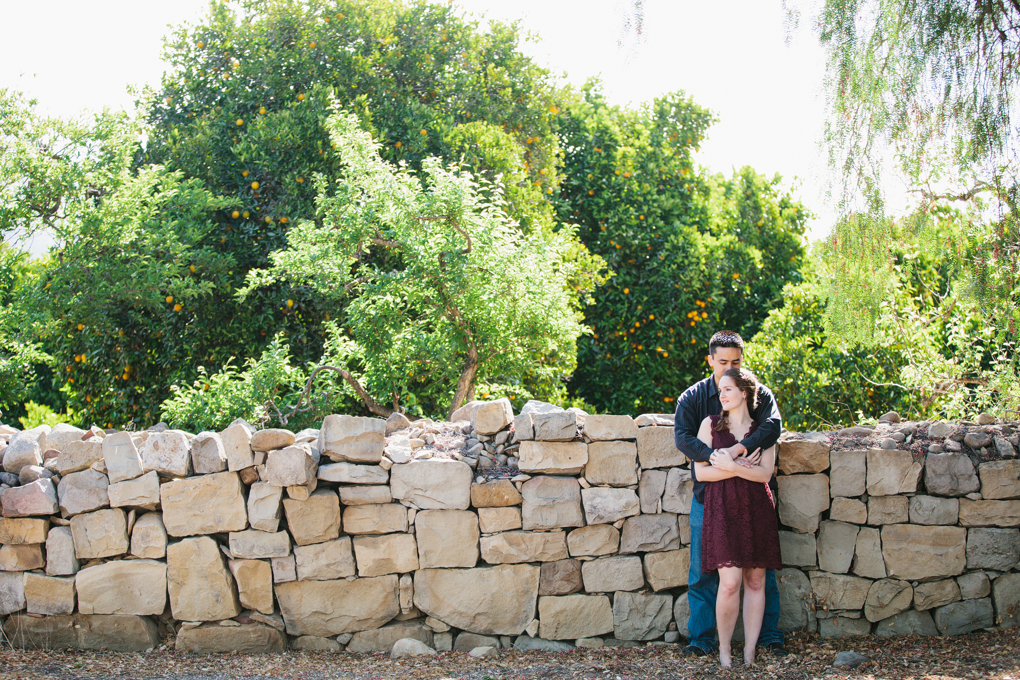 Ojai orchard Engagement