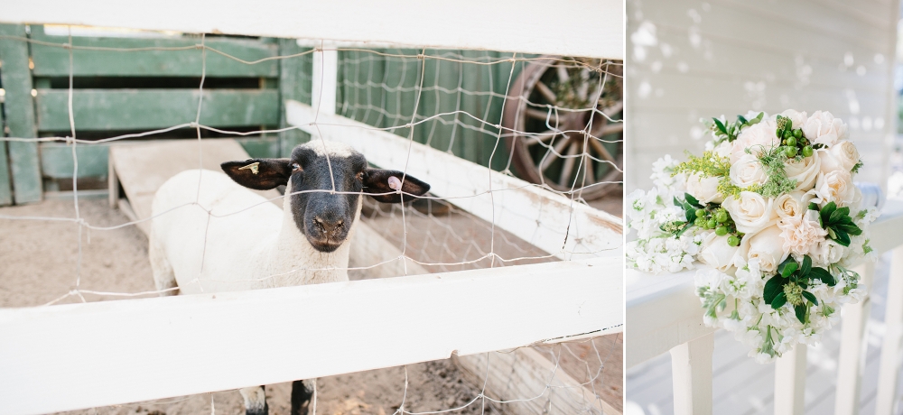 Mcormick Ranch House Wedding: Anastasia + Nate