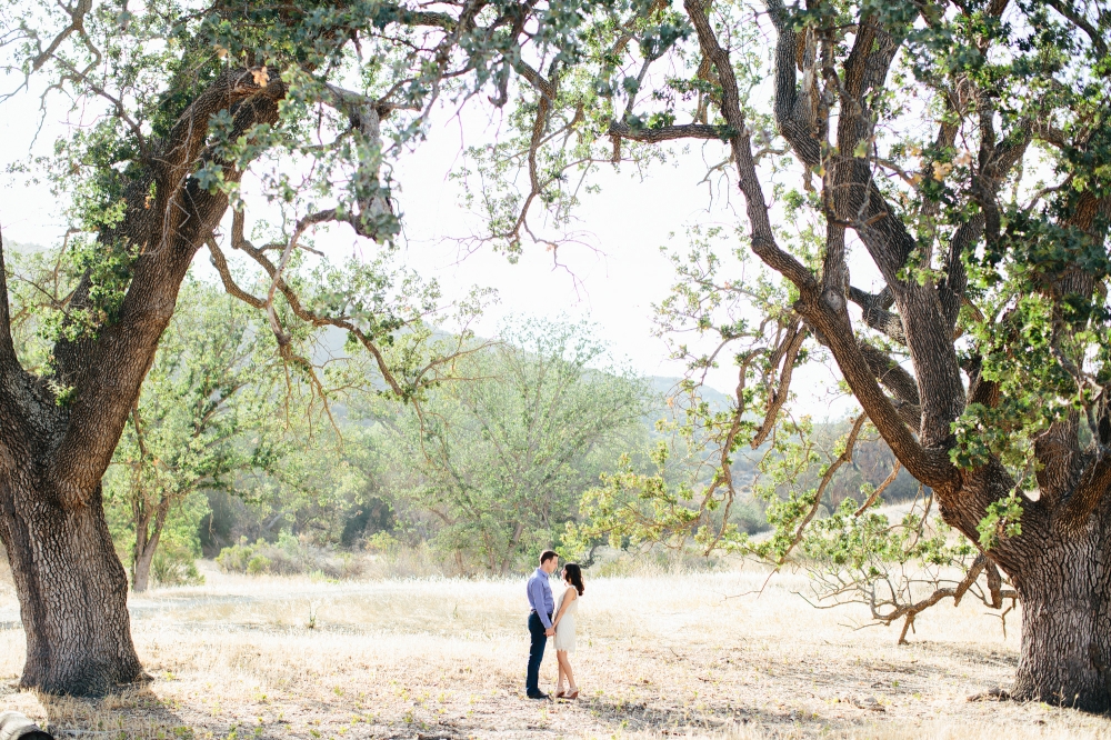 CristinaAndrew-Hillsengagement-001