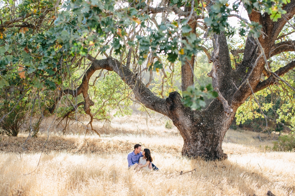 CristinaAndrew-Hillsengagement-003