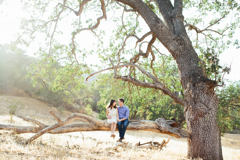 CristinaAndrew-Hillsengagement-013