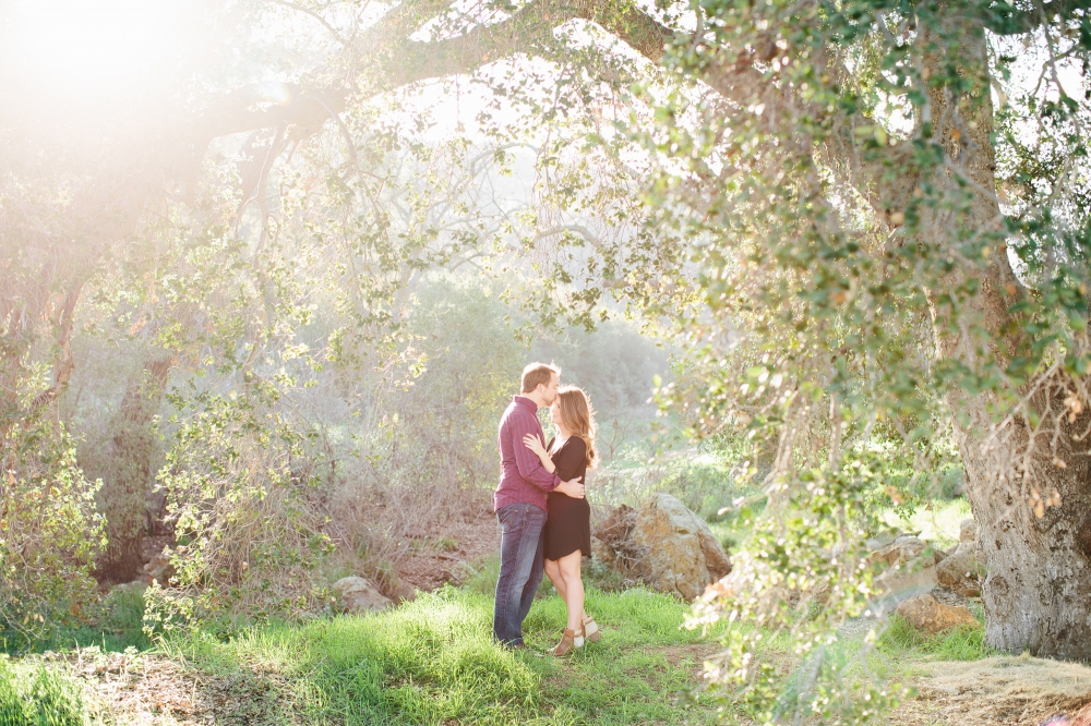 MalibuHillsAndBeachEngagement005