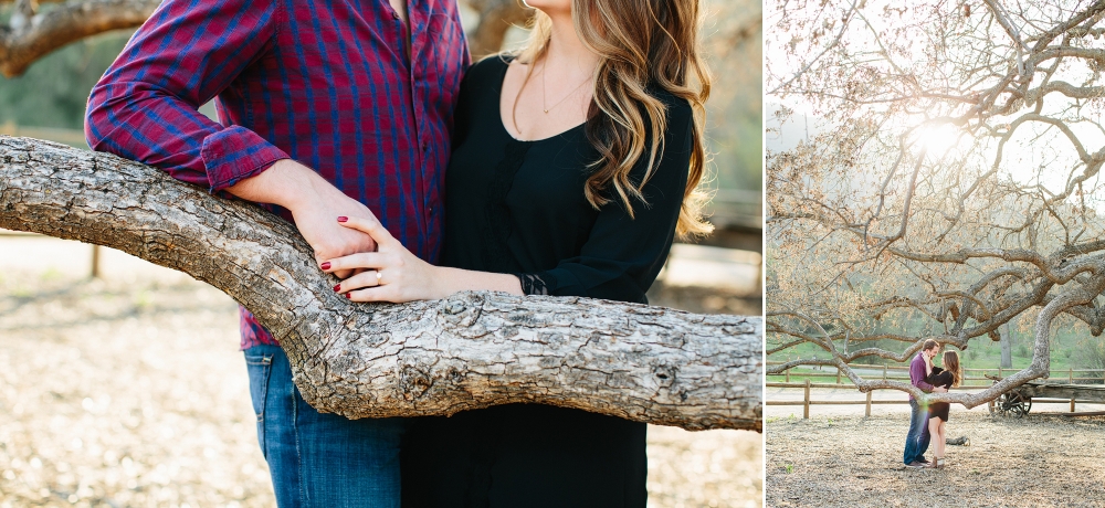 MalibuHillsAndBeachEngagement010