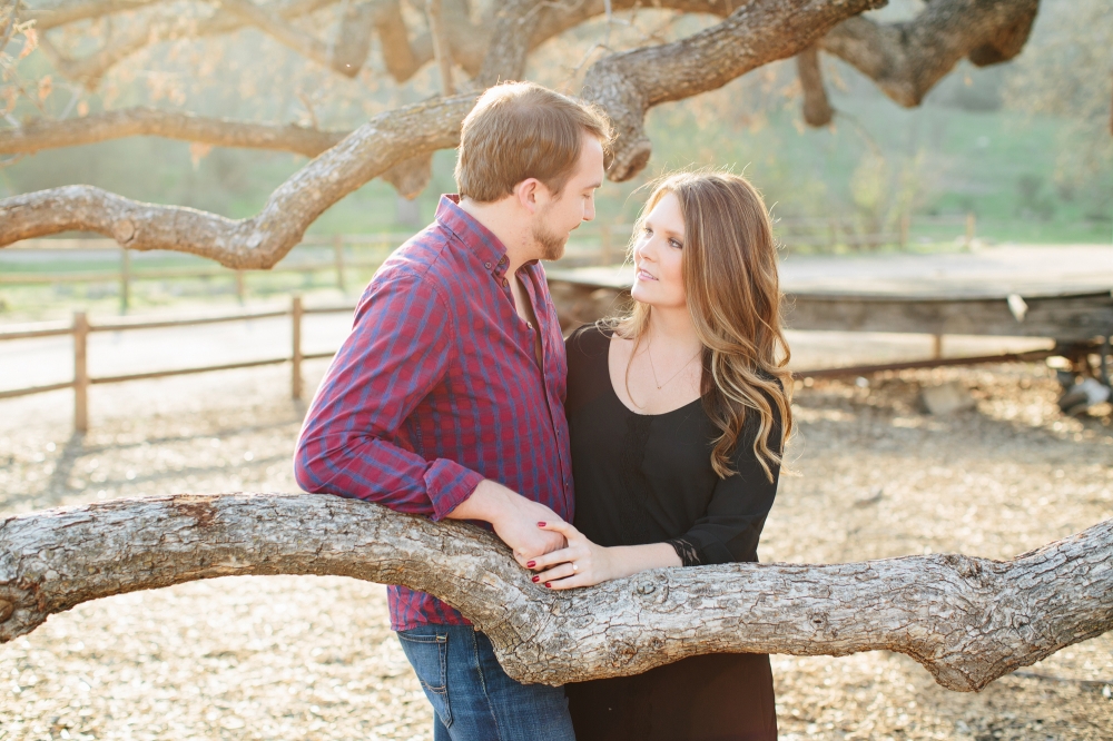 MalibuHillsAndBeachEngagement011