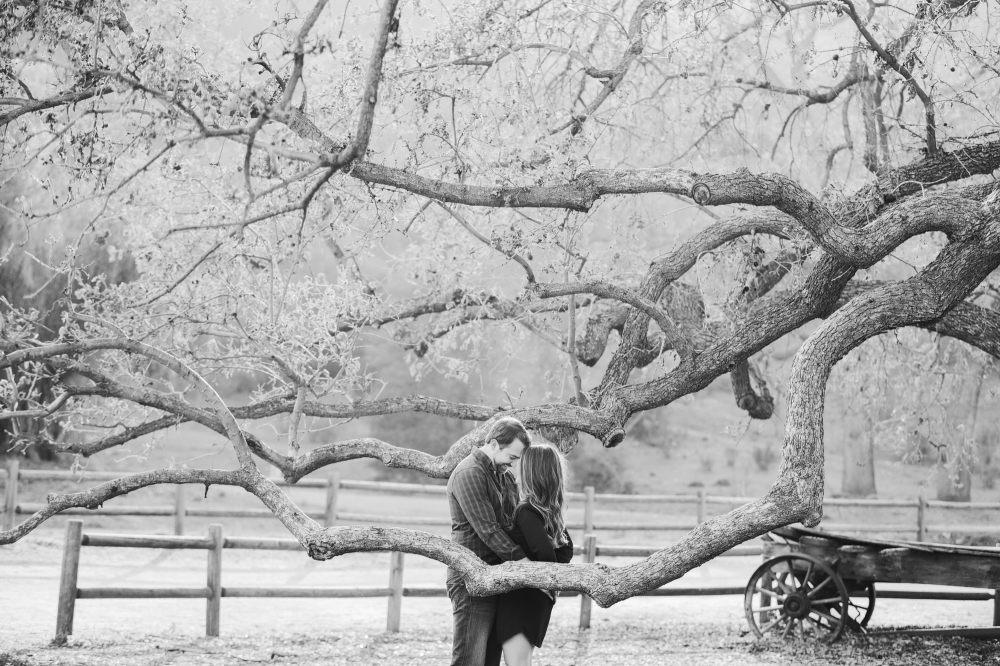 MalibuHillsAndBeachEngagement012