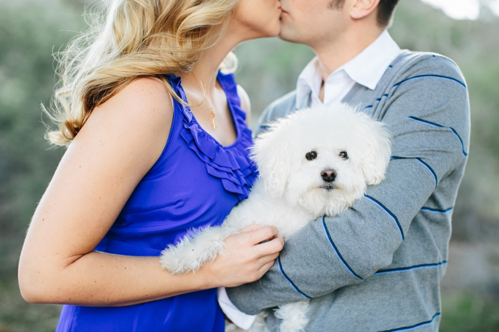 Malibu Engagement photography with couples dog by Pie Shoppe Photography