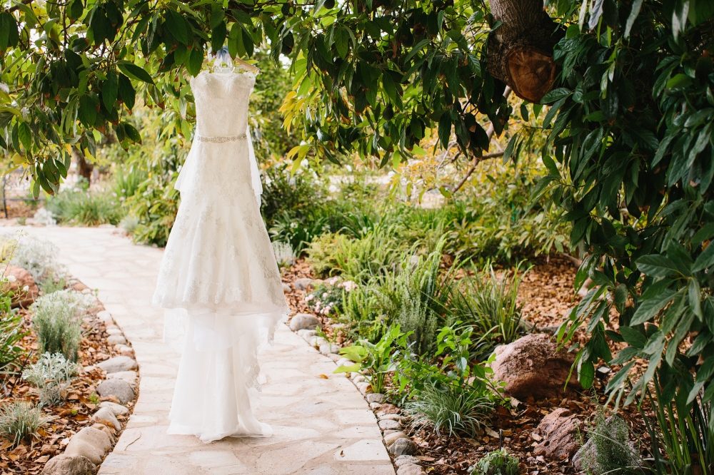 Sometimes you have to put a dress in a tree. It is science.