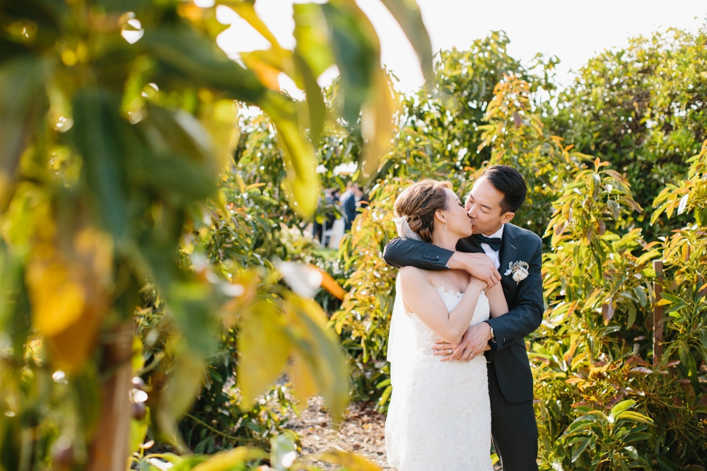 This is a photo out in the orchards at Gerry Ranch Camarillo.