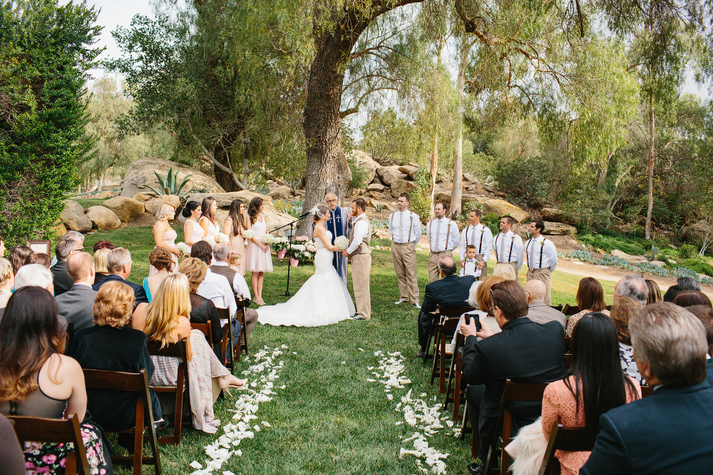 The ceremony was in front of a large tree. 