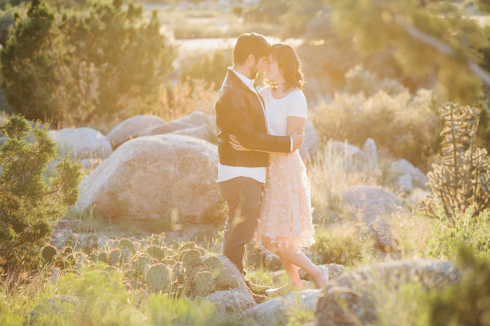 Here is a beautiful photo of the couple in the cactus field.