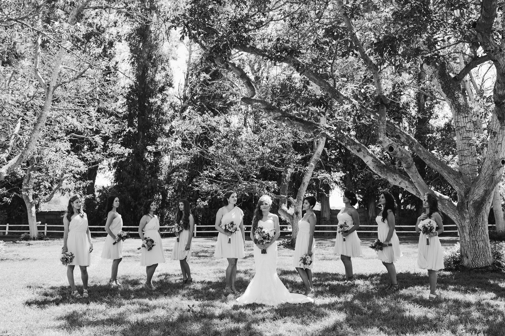 The bride posing in the fields with her bridesmaids. 