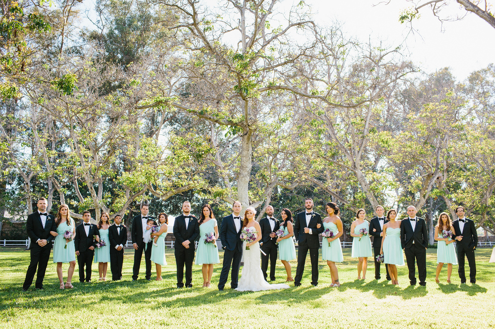 A full wedding party photo. 