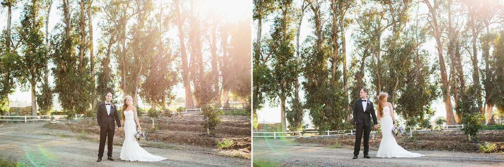 Carrie and Justin near large trees with the sun shining through. 