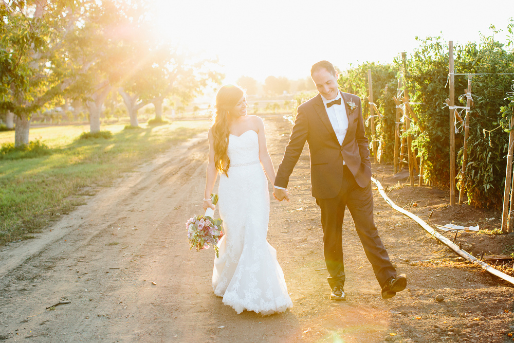 The bride and groom walking in the vineyard at sunset. 