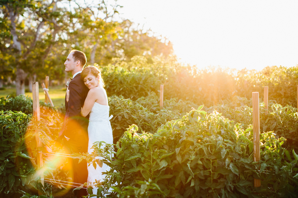 A sunset photo of the bride and groom. 