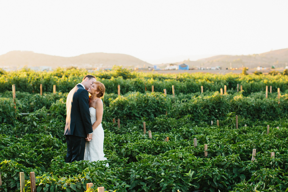 Carrie and Justin took photos in the vineyard. 