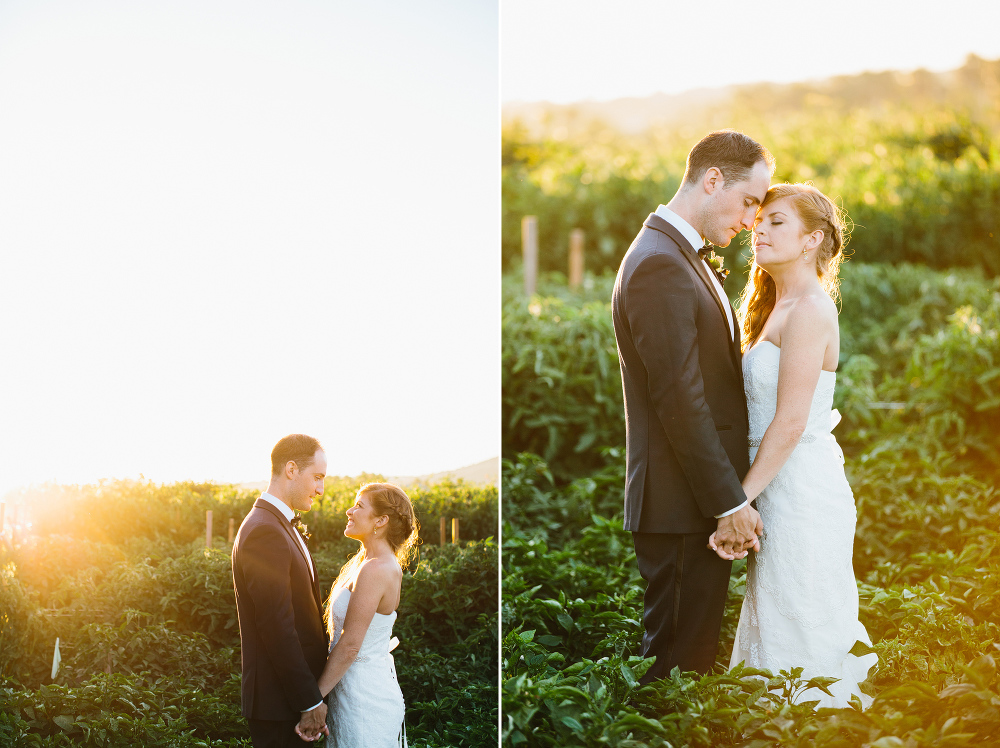 Beautiful sunset photos of the couple. 