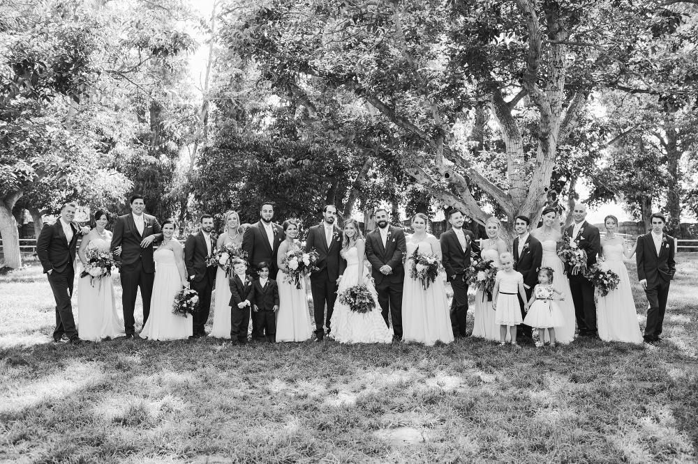 The full wedding party. 