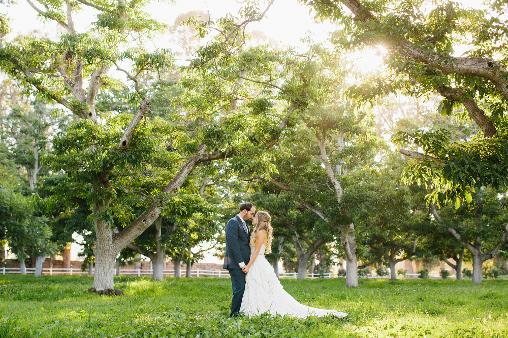 Katie and Chad under the trees. 