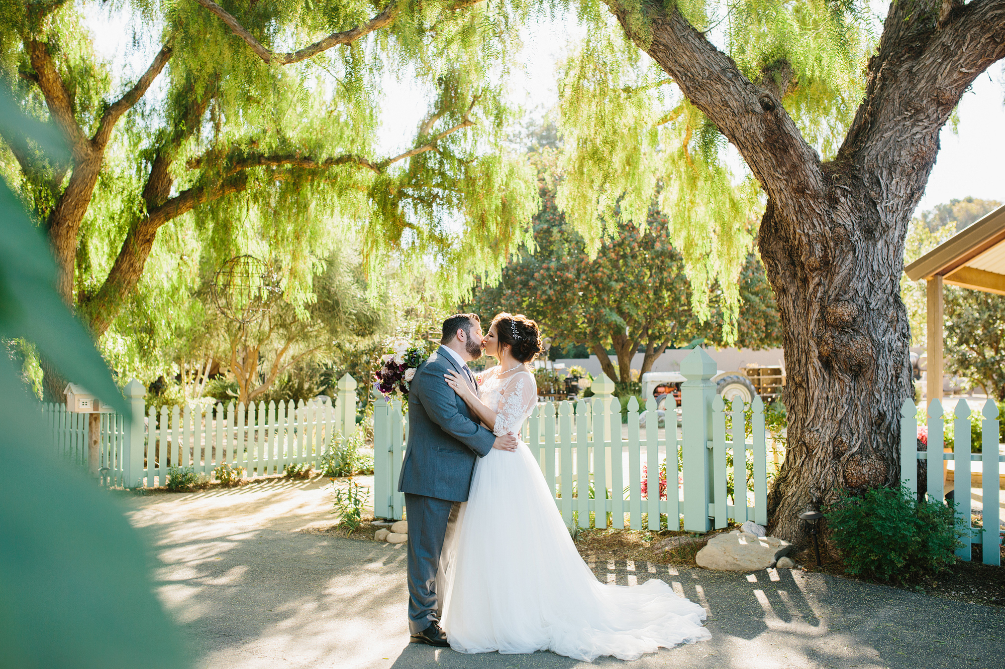 A photo of the couple under a large tree. 