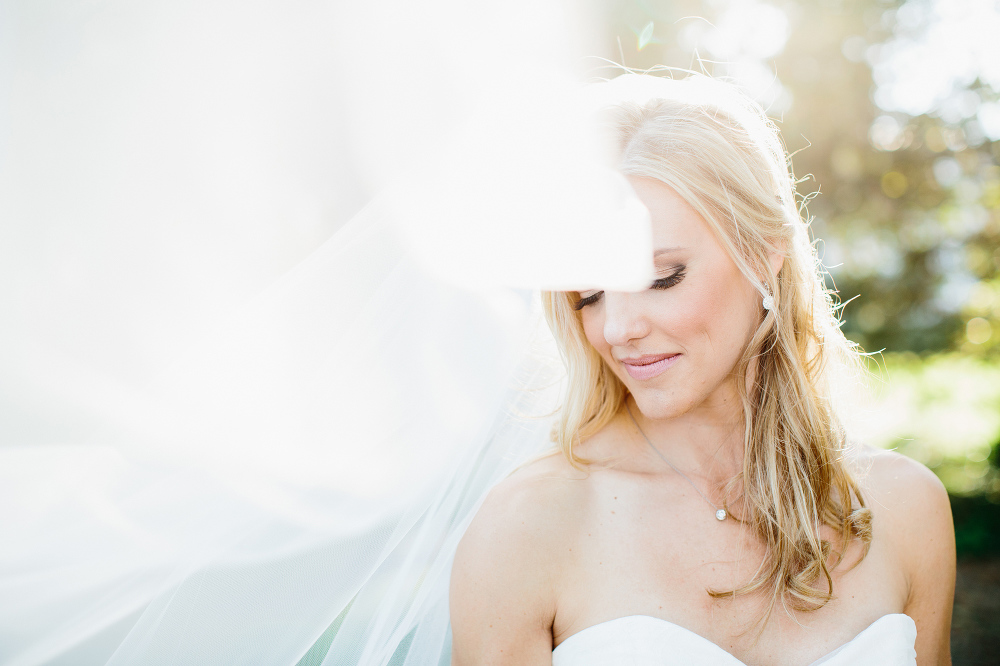 A gorgeous photo of Bailey in her veil. 