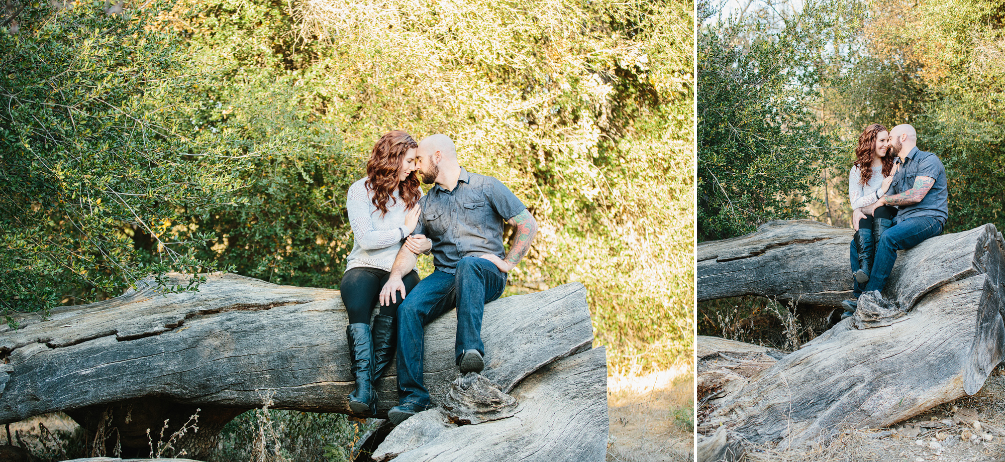 The couple sitting on a tree in Agoura Hills. 