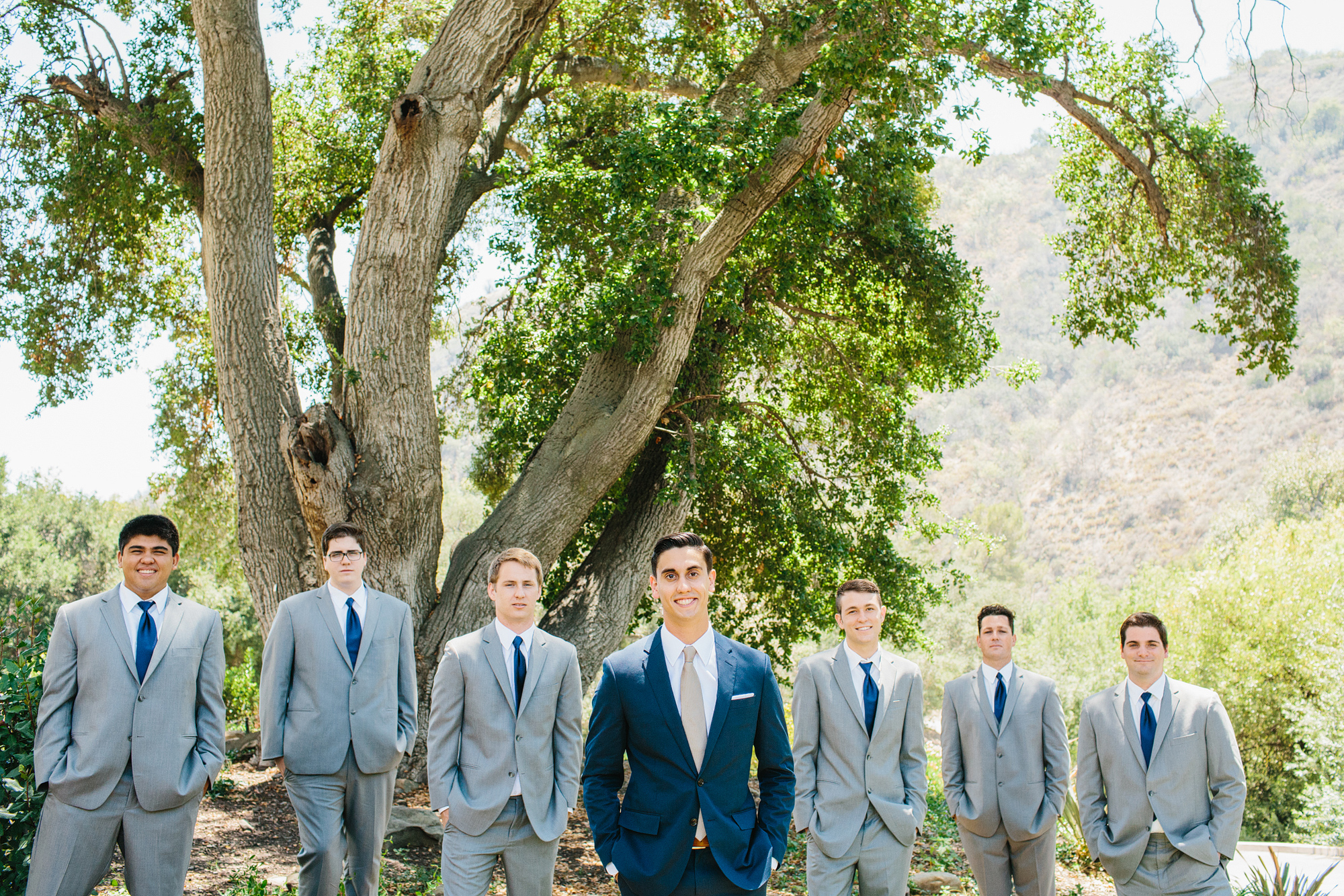 The groom and groomsmen in front of a beautiful tree. 