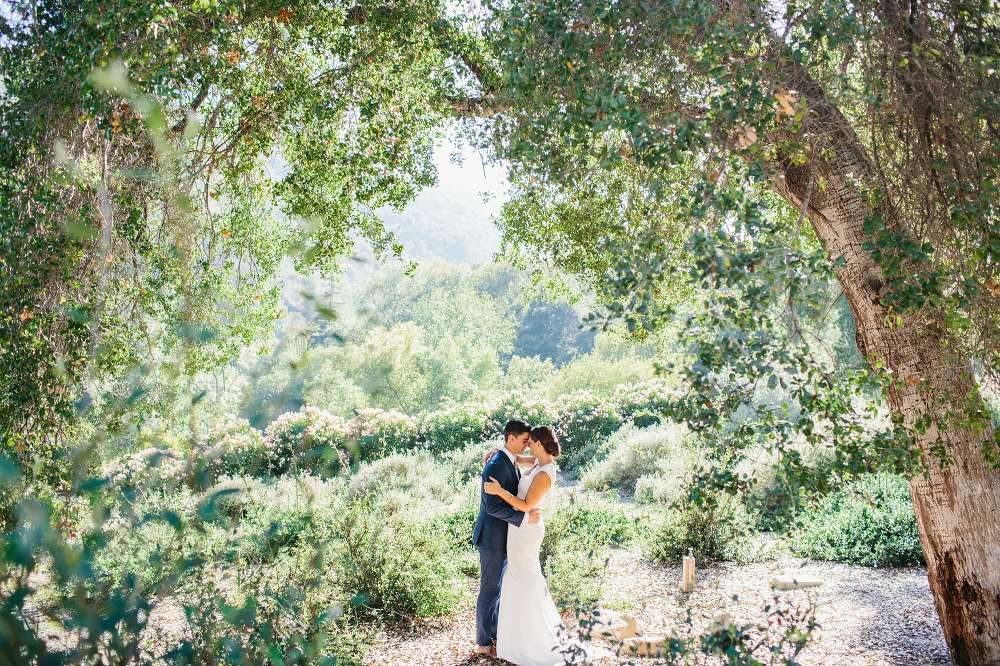 The bride and groom under large trees. 