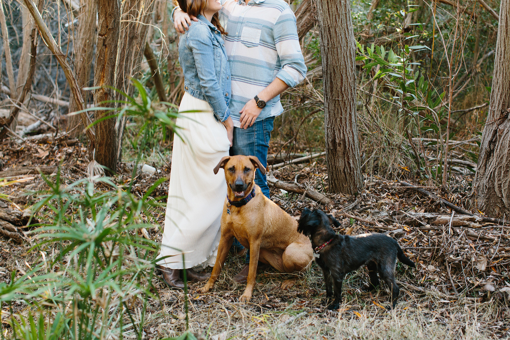 Kailie and Michael brought their dogs. 