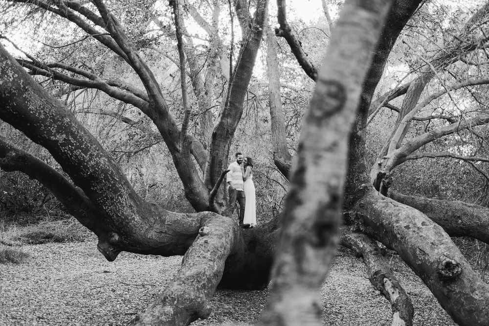 Kailie and Michael in an overgrown tree. 