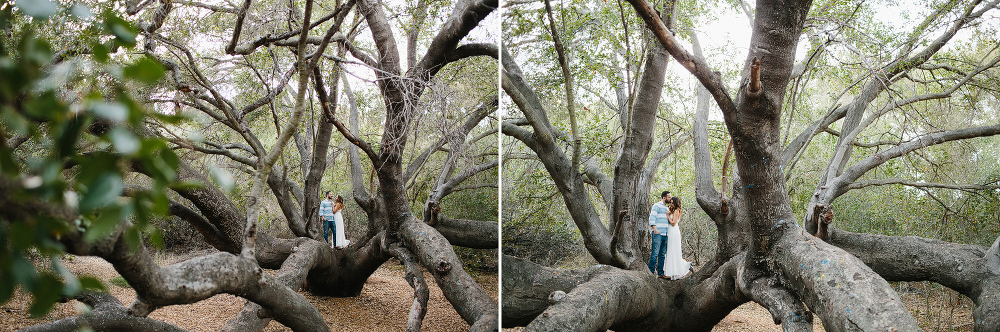 Kailie and Michael in a large park tree. 