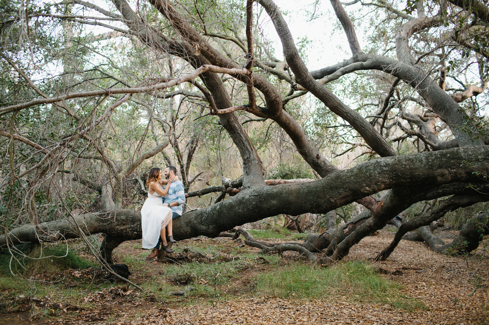 A beautiful photo of the couple sitting on a large tree. 