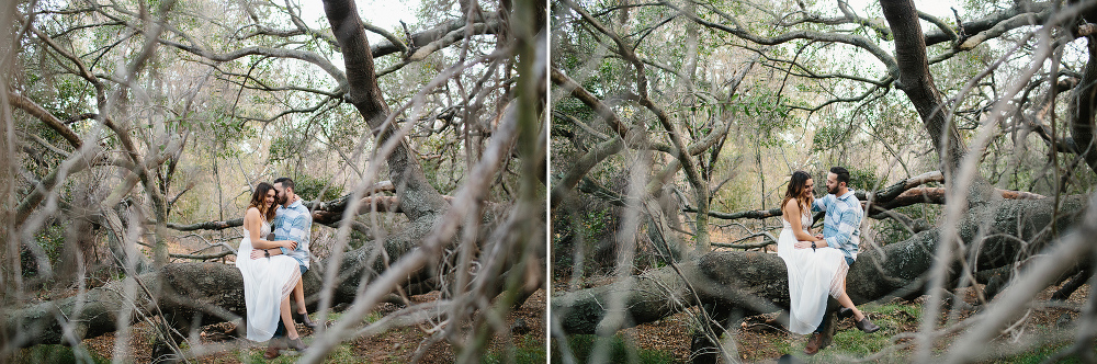 Photos of Kailie and Michael through branches. 