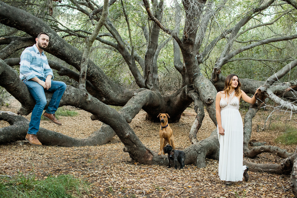 A cool shot of the couple with their dogs. 