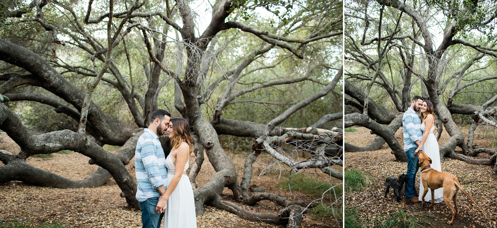 The couple in front of a tree. 