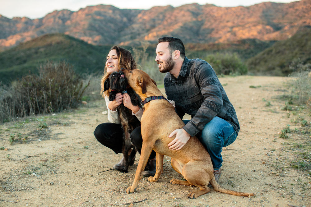 A cute photo of the couple with their dogs. 