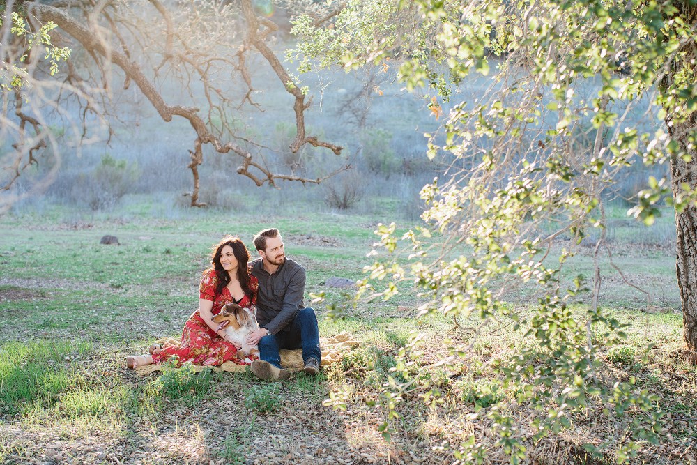 A portrait of the couple with their dog. 