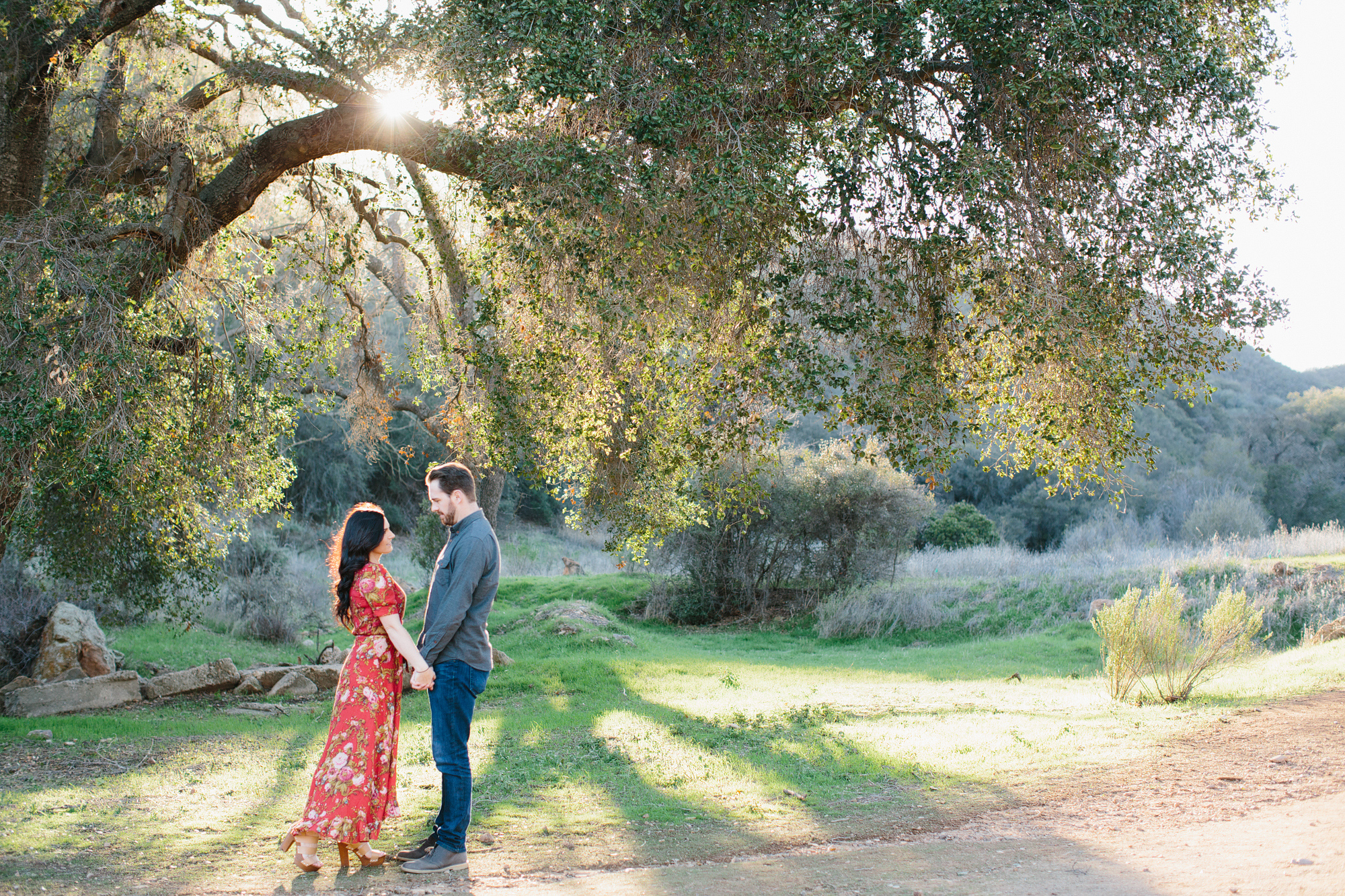 The couple under a large tree. 