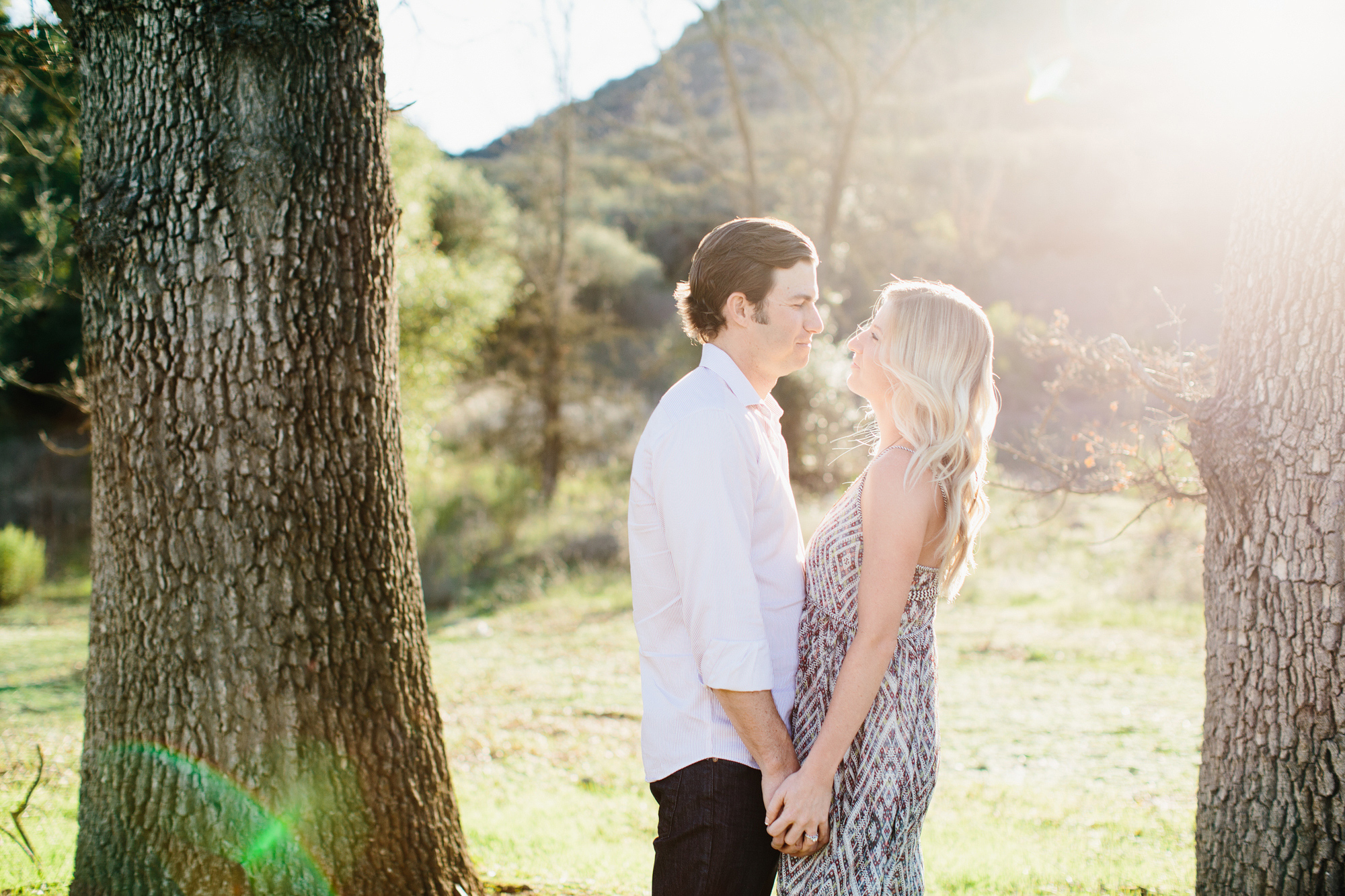 Sunshine through the tree. 