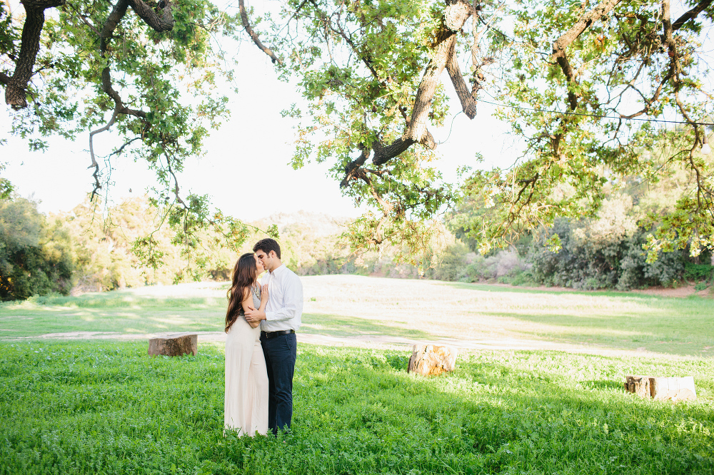 The couple under a large tree. 