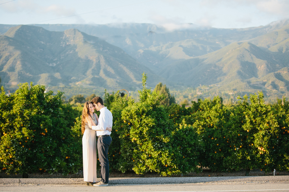 The couple by a citrus orchard. 