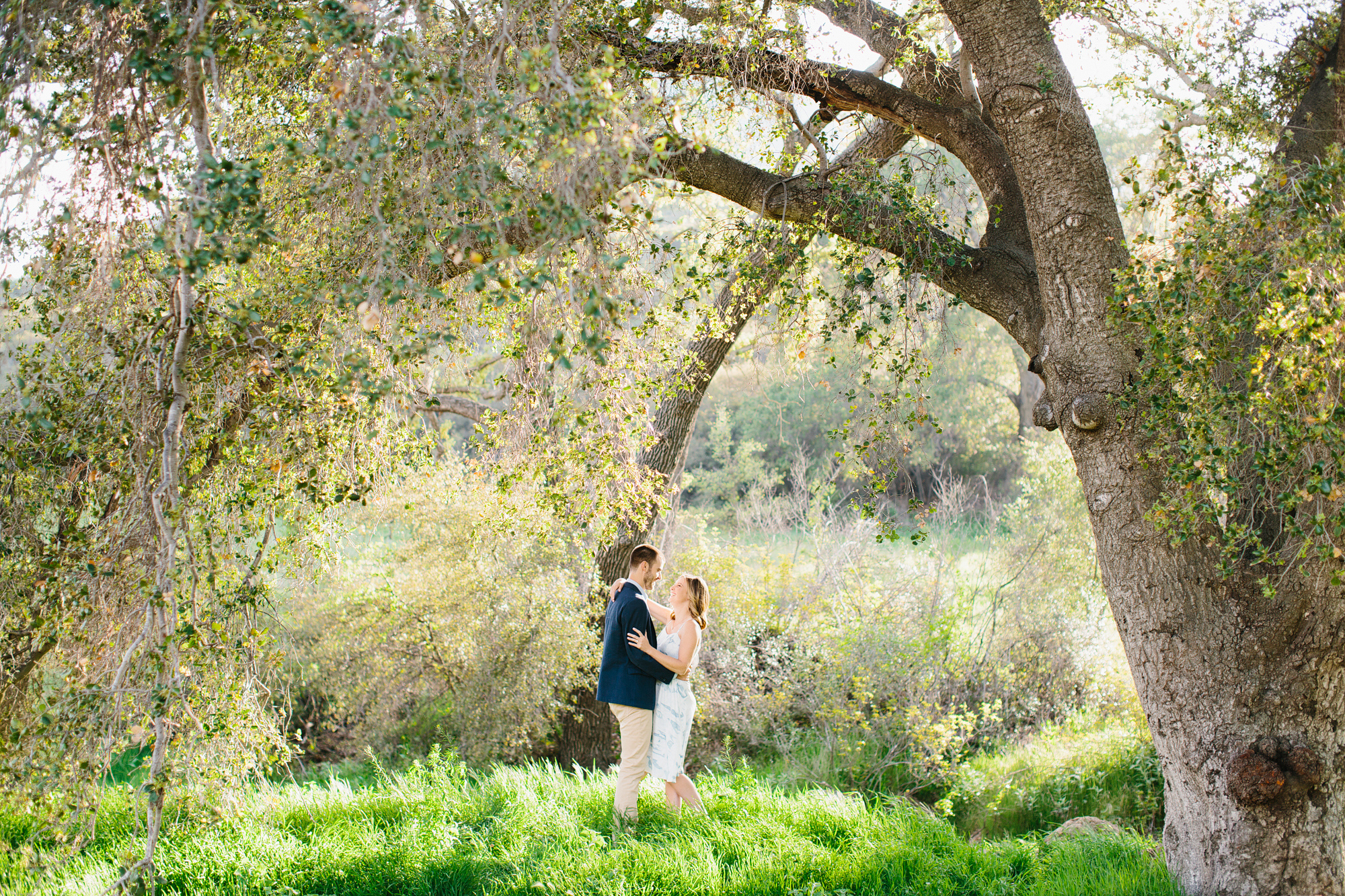 The couple under a large tree. 